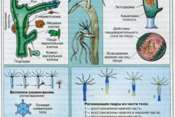 Как войти на кракен