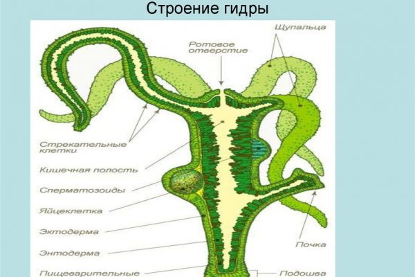 Кракен ссылка тупа германия